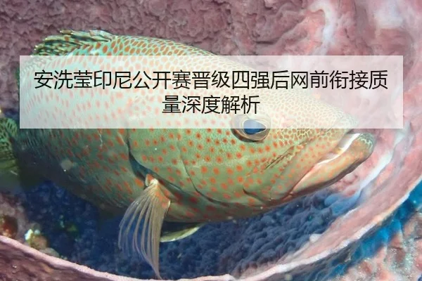 安洗莹印尼公开赛晋级四强后网前衔接质量深度解析